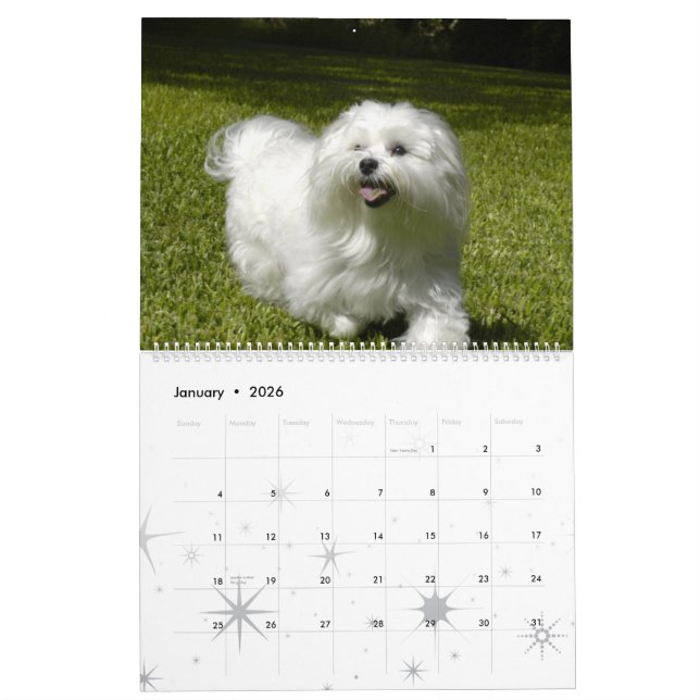 Angepasster Pet-Kalender Kalender (Jan 2026)