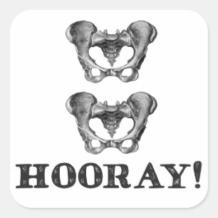 Angesagte angesagte Hooray Anatomie-Mitteilung Quadratischer Aufkleber