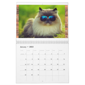 Angesagte Coole Katzen 2023 Kalender, Wall Calenda Kalender