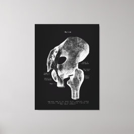 Angesagte gemeinsame Anatomie Medical Large Leinwa Leinwanddruck