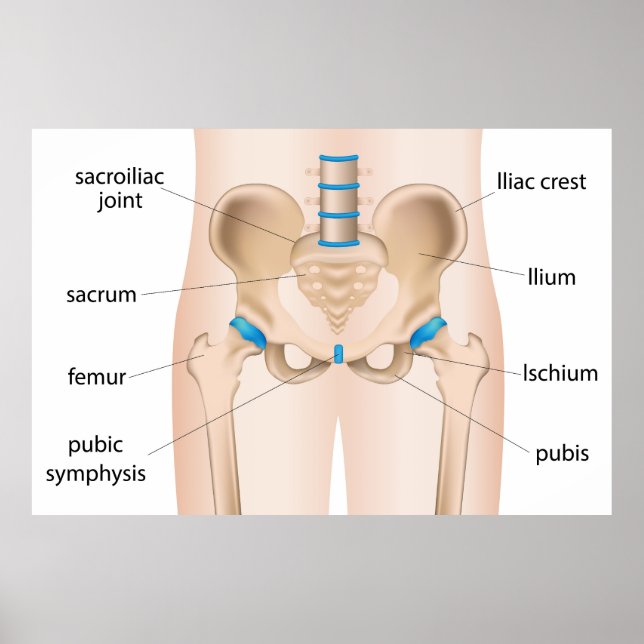 Angesagte Schmerzbursitis Poster (Vorne)