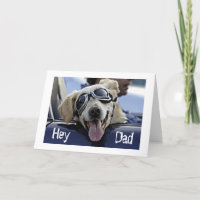 ANGESAGTER HUND SAGT: "HEY TYP HAT EINEN COOLEN *V