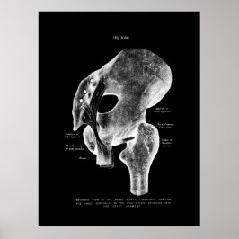 Angesagtes Anatomie-Medizinposter Poster