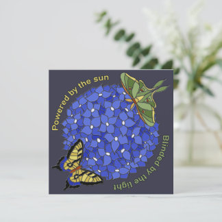 Angetrieben von der Sonne - Geblendet vom Licht Ka