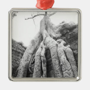 Angkor Kambodscha, Baum Ta Prohm Ornament Aus Metall