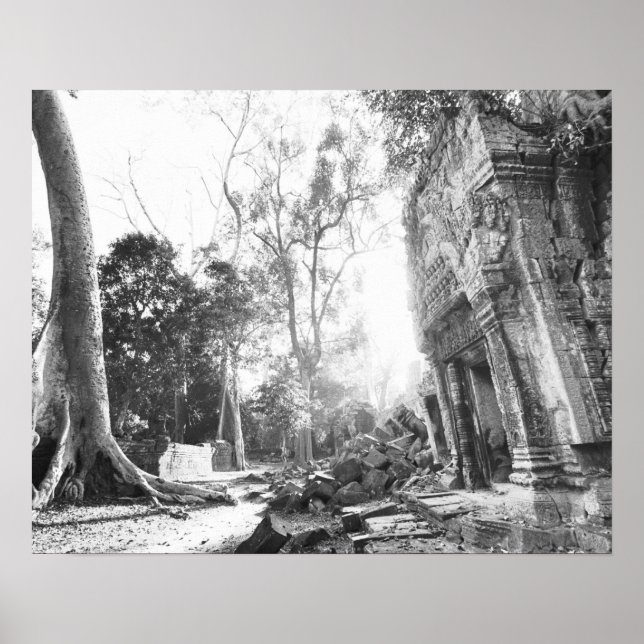 Angkor Kambodscha, Details Ta Prohm Poster (Vorne)