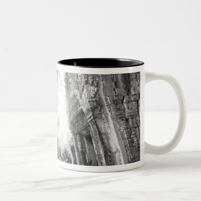 Angkor Kambodscha, Details Ta Prohm Zweifarbige Tasse (Rechts)