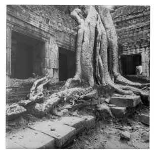 Angkor Kambodscha, Ta Prohm Baum Fliese