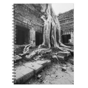 Angkor Kambodscha, Ta-Prohm-Baum Notizblock