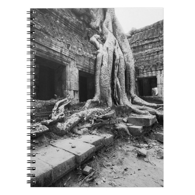Angkor Kambodscha, Ta-Prohm-Baum Notizblock (Vorderseite)