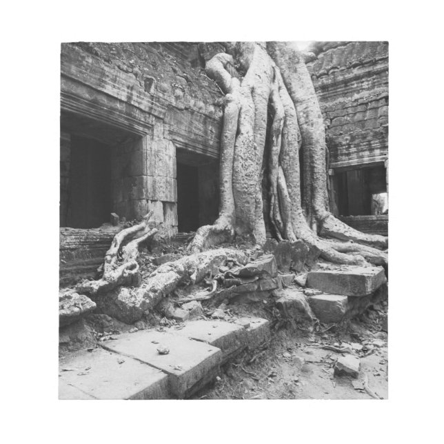 Angkor Kambodscha, Ta Prohm Tree Notizblock (Vorderseite)