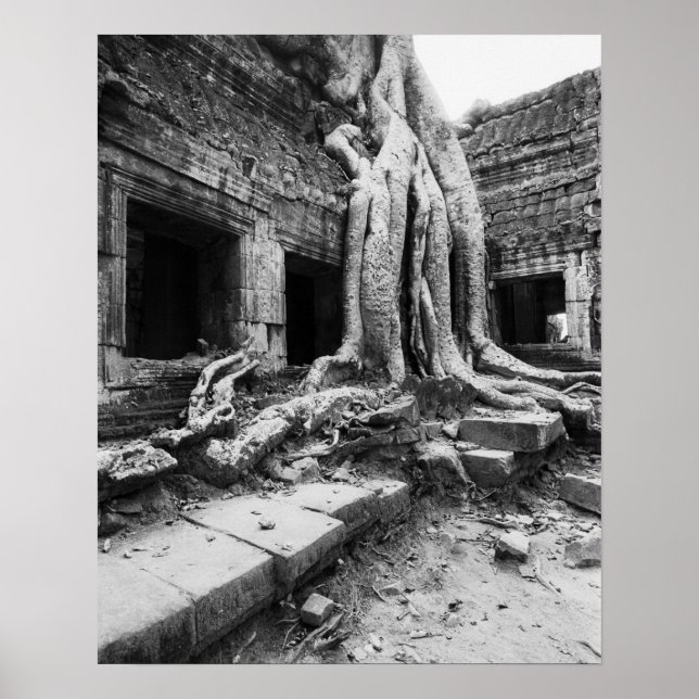 Angkor Kambodscha, Ta Prohm Tree Poster (Vorne)