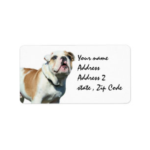 Anglais bulldog étiquette