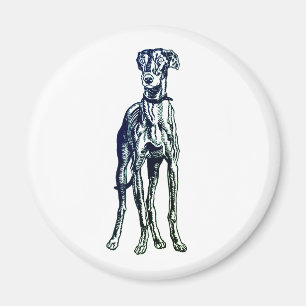 Anglais Greyhound Breed Magnet
