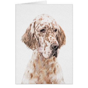 Anglais Setter Orange Belton Peinture Chien Art
