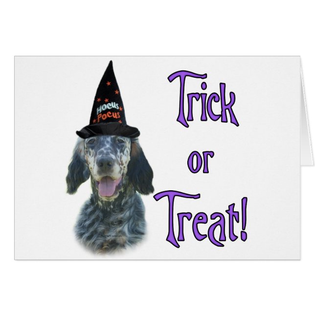 Anglais Setter Trick (Devant horizontal)