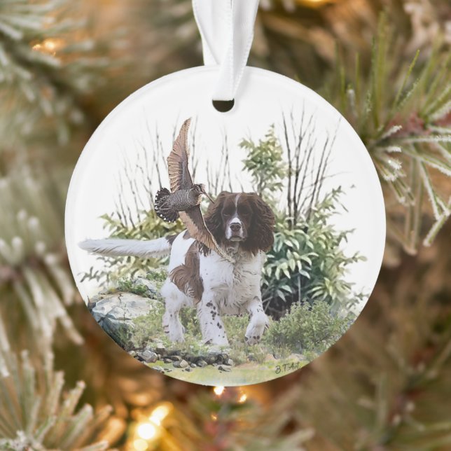 Anglais Springer Spaniel (Arbre)