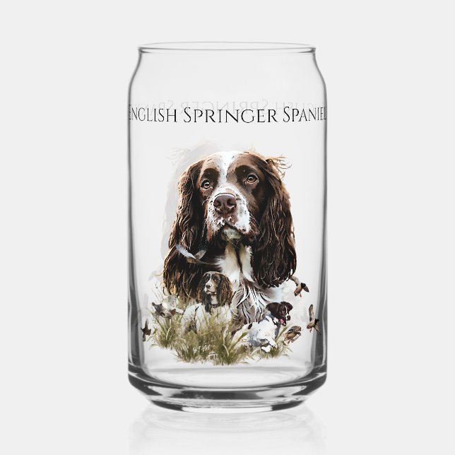 Anglais Springer Spaniel (Recto)