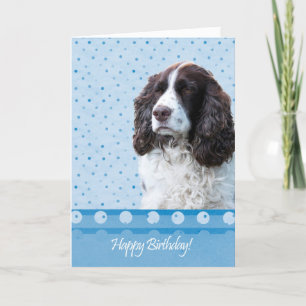 Anglais Springer Spaniel Dog Bonne Carte d'Anniver