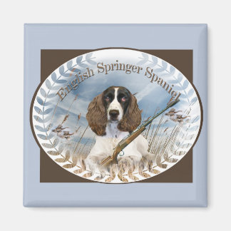 Anglais Springer Spaniel Hunts Magnet