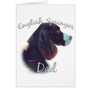Anglais Springer Spaniel Papa 2