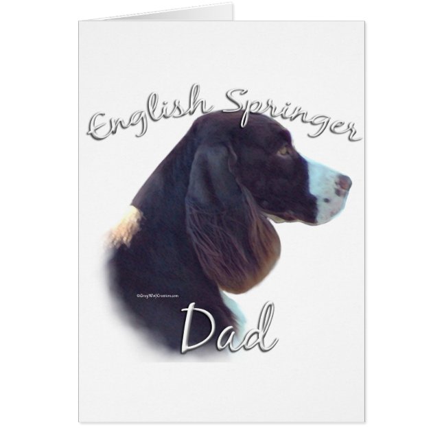 Anglais Springer Spaniel Papa 2 (Devant)