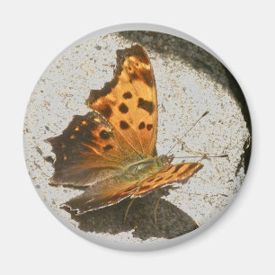 Angle Wing Comme Butterfly Magnet