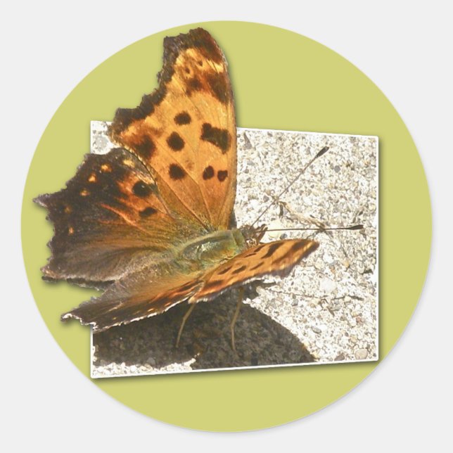 Angle Wing Comme Butterfly Serie Runder Aufkleber (Vorderseite)