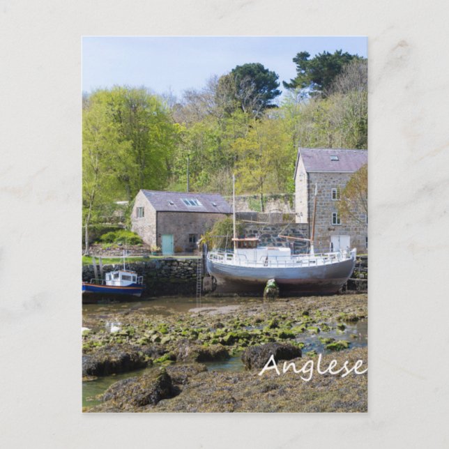 Anglesey, Wales Postkarte (Vorderseite)