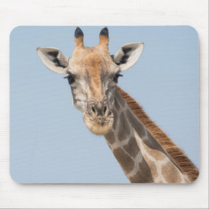 Angolan Giraffe Portrait Mousepad
