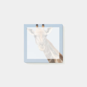 Angolan Giraffe Portrait Post-it Klebezettel