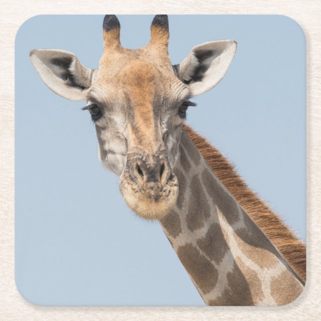 Angolan Giraffe Portrait Rechteckiger Pappuntersetzer (Vorderseite)