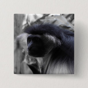 Angolanischer Schwarzweiss-Colobus-Affe Button