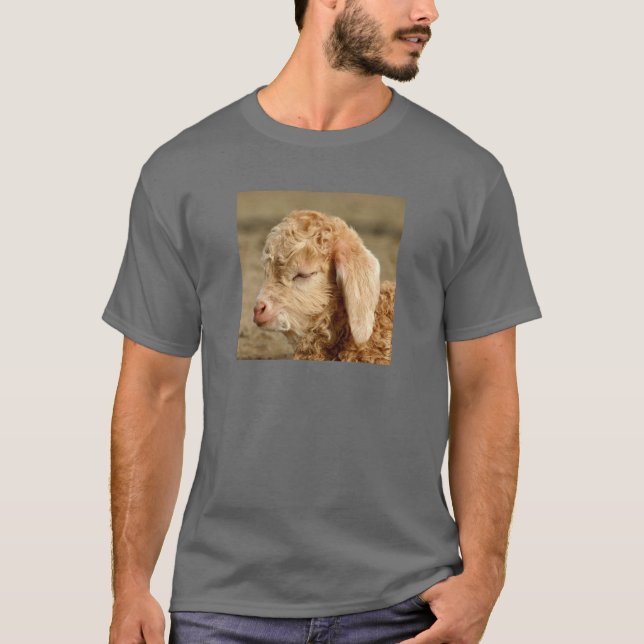 Angora Goat Kid - Erwachsener Dunkler T - Shirt (Vorderseite)
