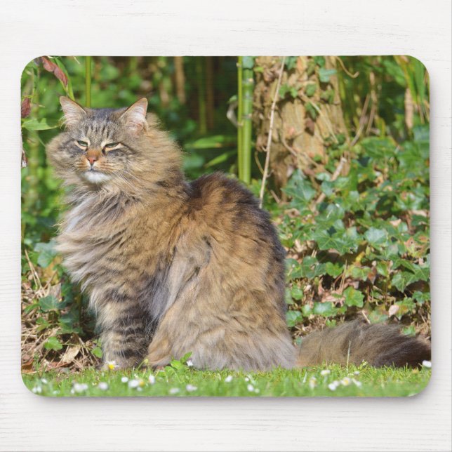 Angora-Katze Mousepad (Vorne)