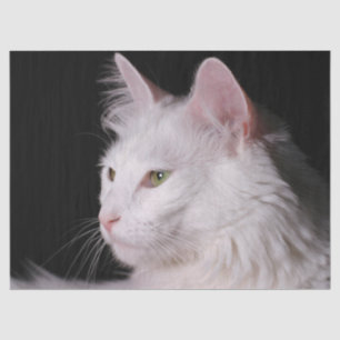 Angora-Katzenpapier Seidenpapier