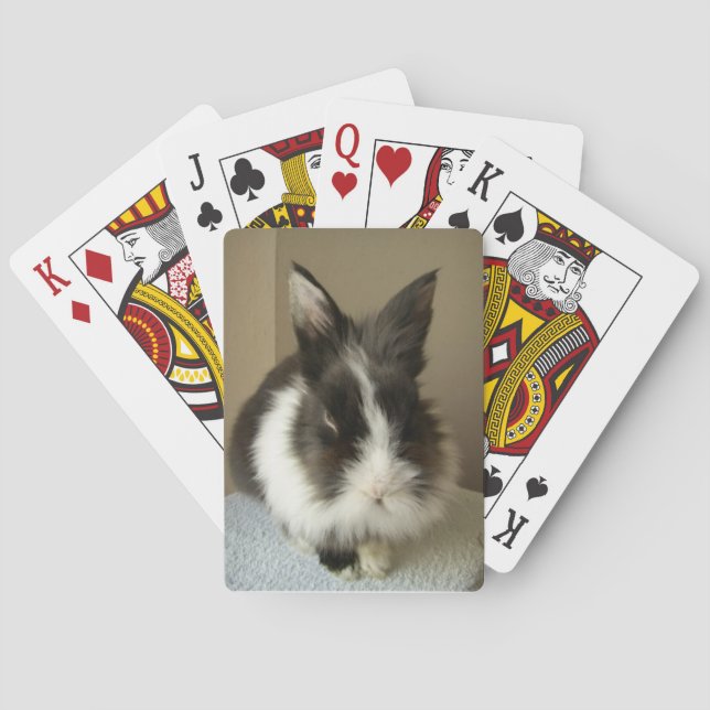 Angora Schwarz-weiße Kaninchenspielkarten Spielkarten (Rückseite)