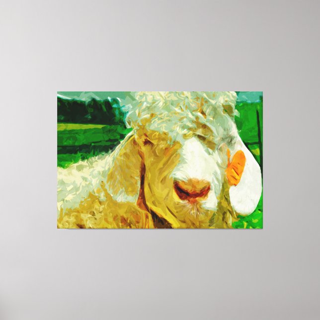 Angora-Ziege mit Ohrmarke Abstrakter Impressionism Leinwanddruck (Vorderseite)