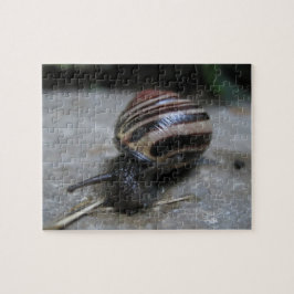 Angriff auf die riesige Schnecke Entspannende Selb