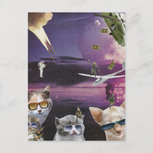 Angriff der Coolen Katzen auf der Postkarte