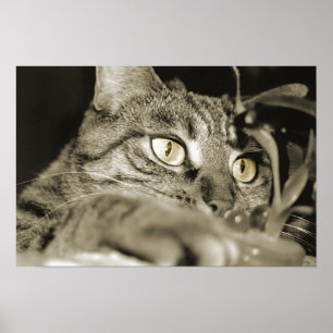 Angriff Poster