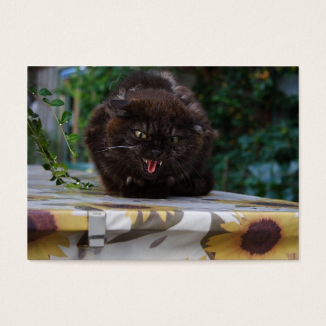 Angry Black Cat (Vorderseite)