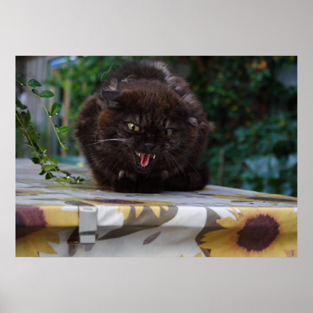 Angry Black Cat Poster (Vorne)