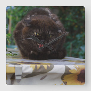 Angry Black Cat Quadratische Wanduhr