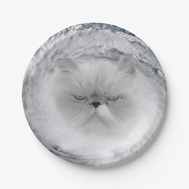 Angry Cat 5 Hurrikan Pappteller (Vorderseite)