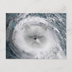Angry Cat 5 Hurrikan Postkarte