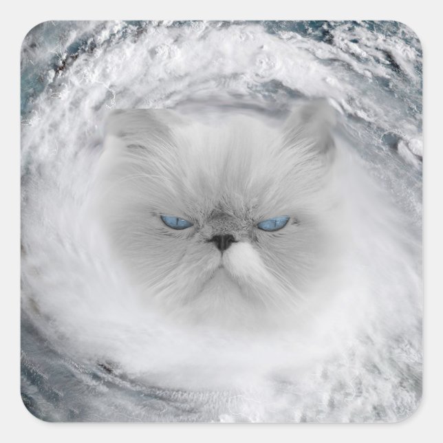 Angry Cat 5 Hurrikan Quadratischer Aufkleber (Vorderseite)