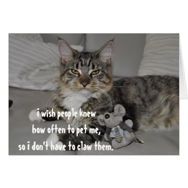 Angry Cat Funny jolie carte de voeux (Devant horizontal)