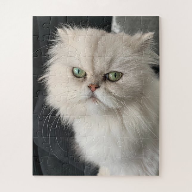 Angry Cat Funny Pet (Vertikal)