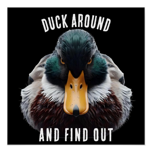 Angry Duck sagt "Duck Around and Find Out" Poster (Vorderseite)